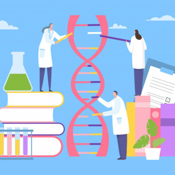 III Beca de Trabajo de Investigación de la Fundació Salud Empordà